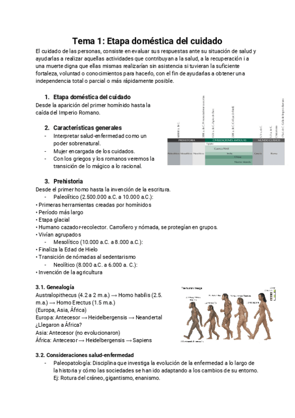 Miniatura del documento Tema-1-Etapa-domestica-del-cuidado.pdf
