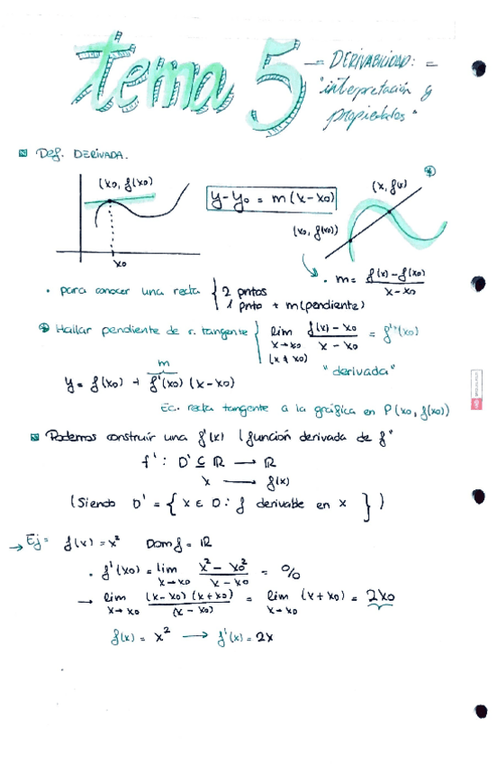 Miniatura del documento Calculo-temas-5-y-6.pdf