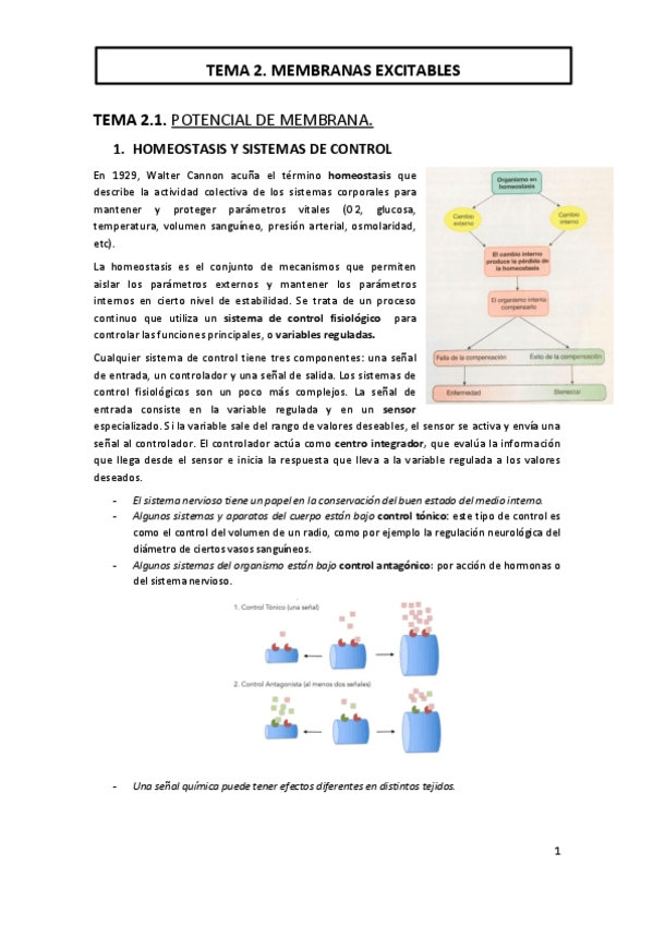 Miniatura del documento TEMA-2-MEMBRANAS-EXCITABLES.pdf