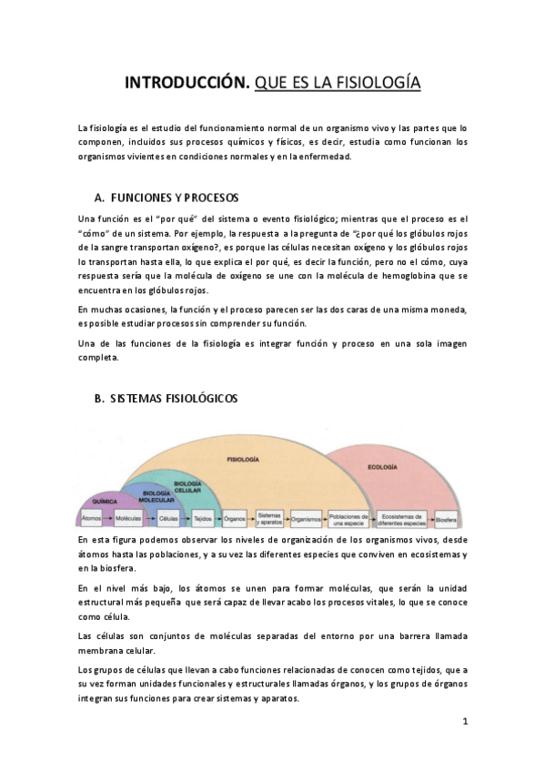 Miniatura del documento INTRODUCCION.pdf