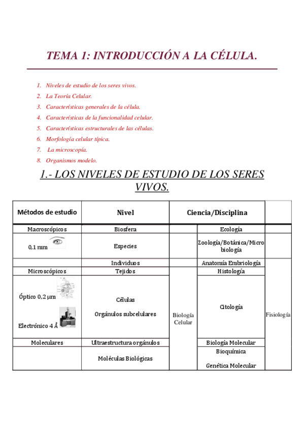 Miniatura del documento TEMA-1.pdf