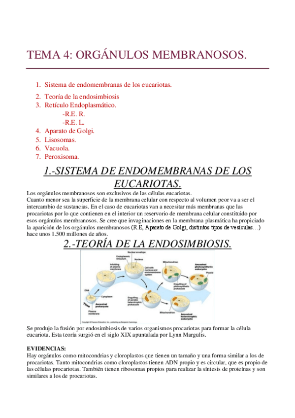 Miniatura del documento TEMA-4.pdf