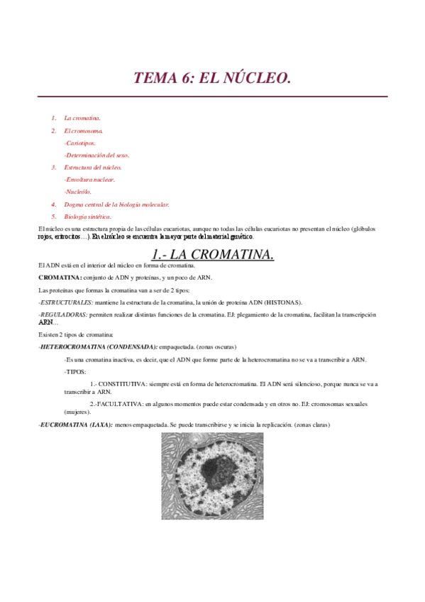 Miniatura del documento TEMA-6.pdf