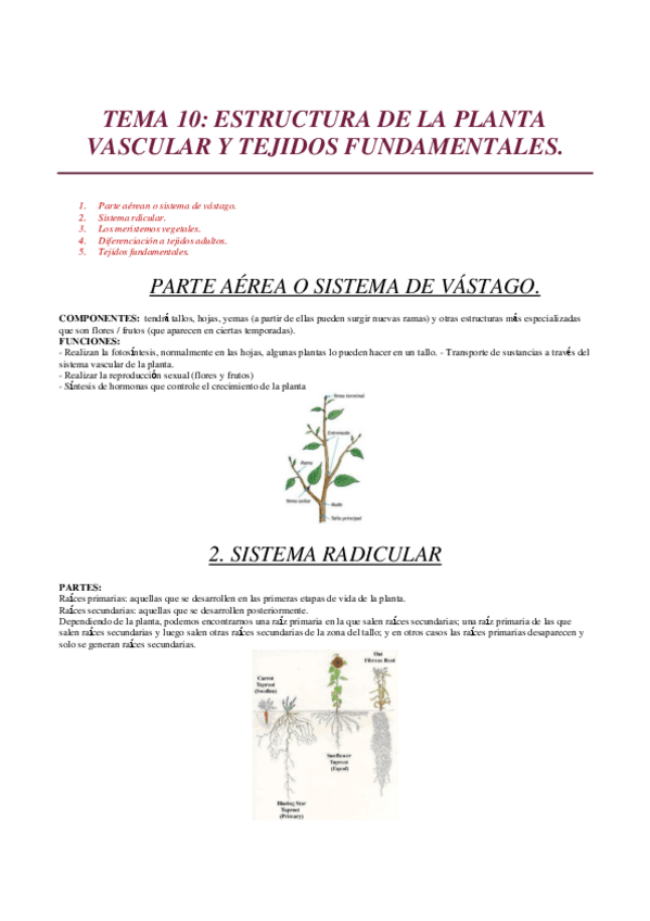 Miniatura del documento TEMA-10.pdf