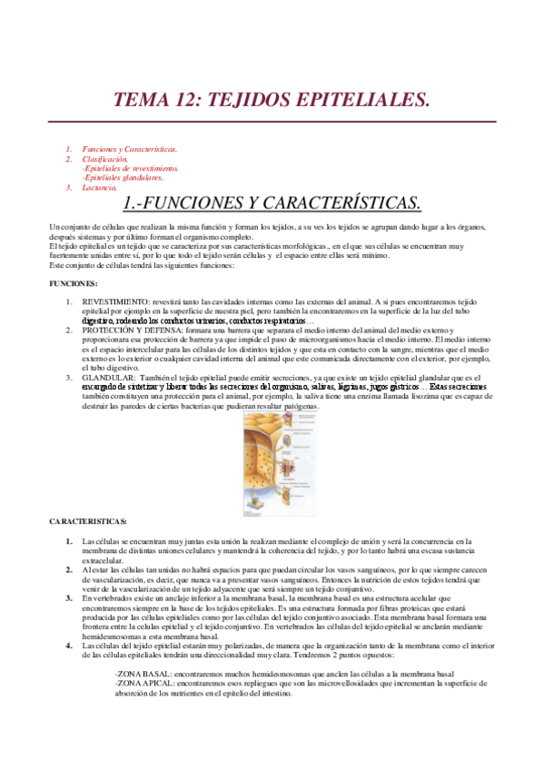 Miniatura del documento TEMA-12.pdf