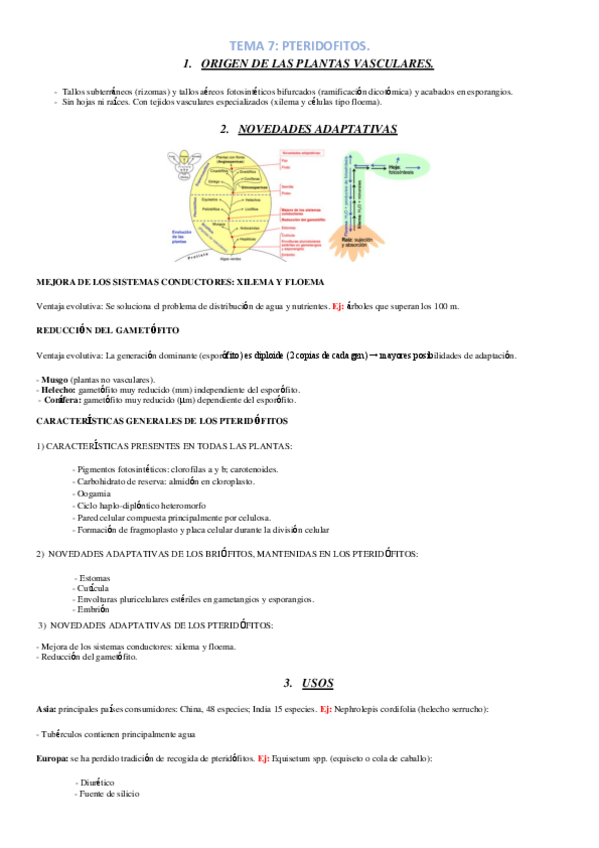 Miniatura del documento TEMA-7.pdf