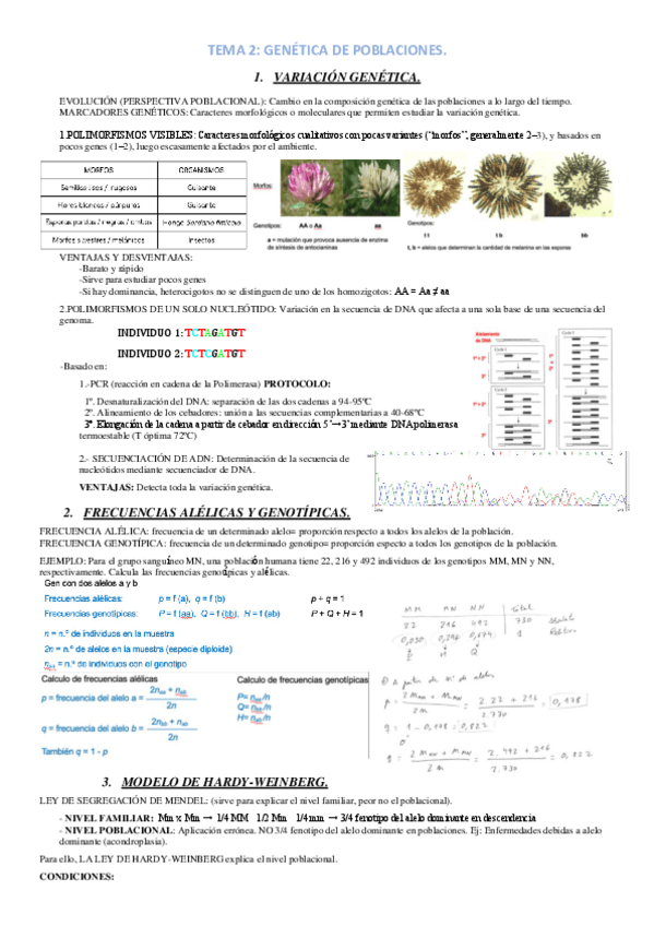 Miniatura del documento TEMA-2.pdf