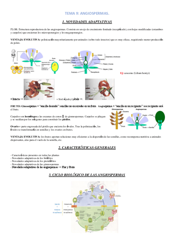 Miniatura del documento TEMA-9.pdf