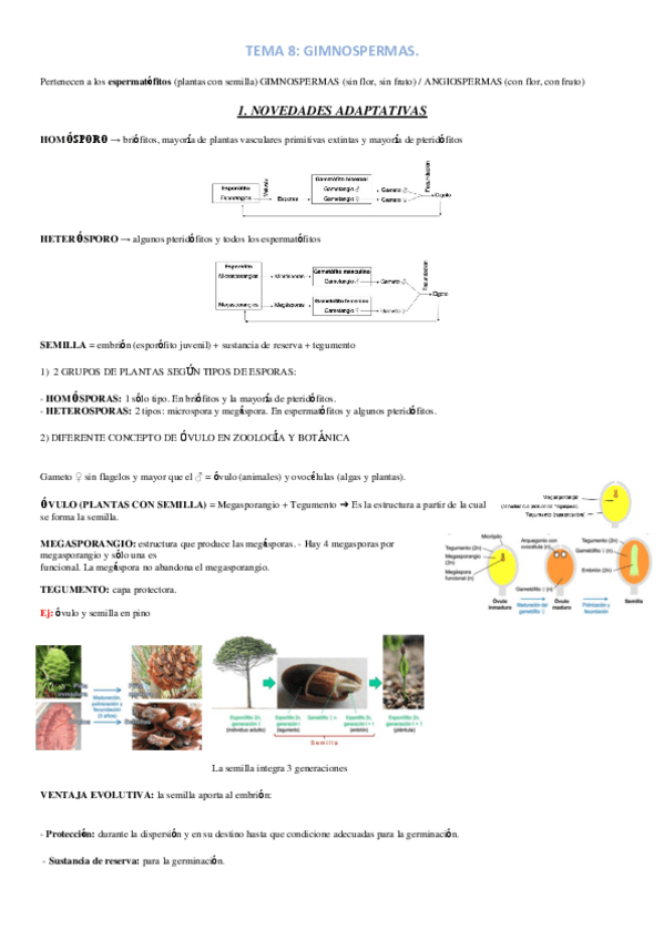 Miniatura del documento TEMA-8.pdf