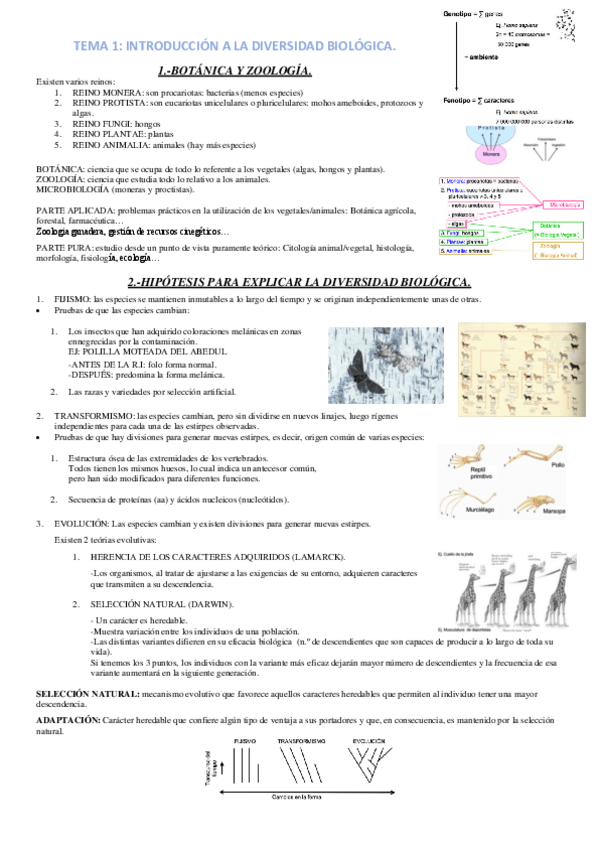 Miniatura del documento TEMA-1.pdf