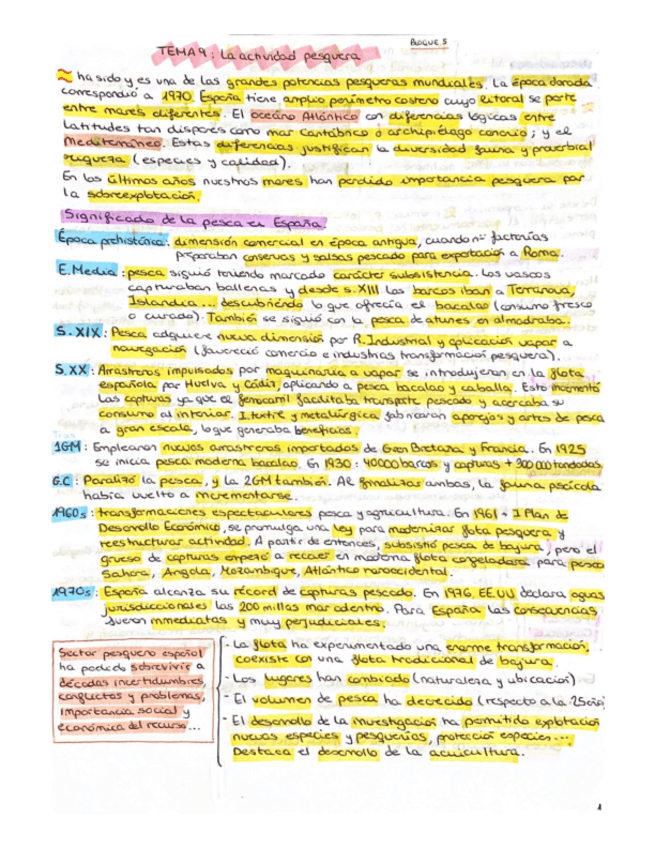 Miniatura del documento La-actividad-pesquera.pdf
