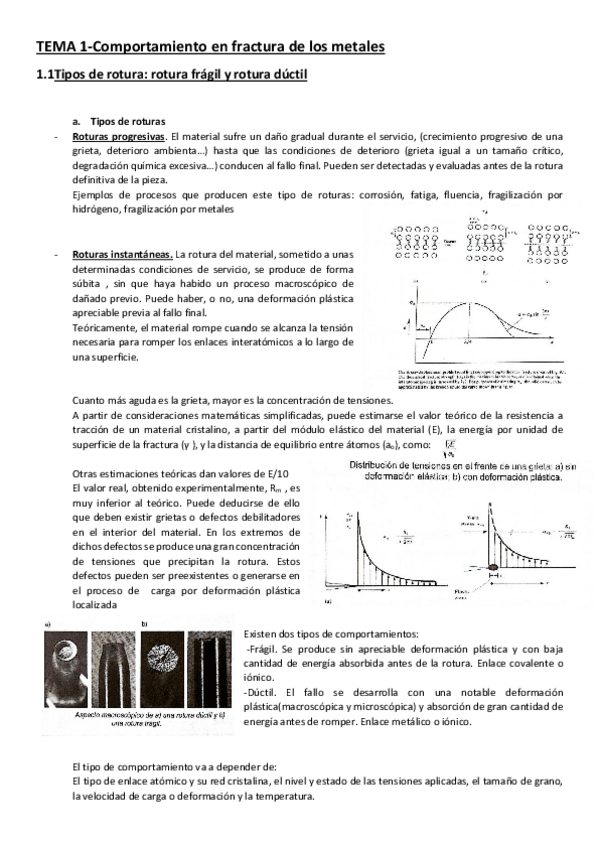 Miniatura del documento 1(FINAL).pdf