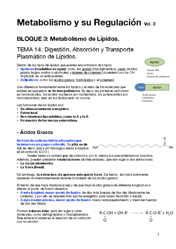 Miniatura del documento Parte-3.pdf
