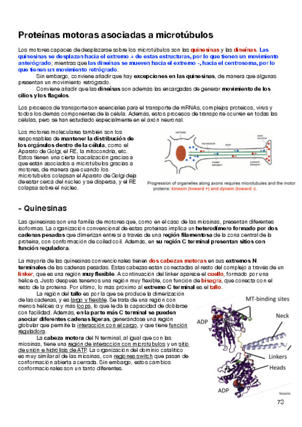 Miniatura del documento Parte-3-3.pdf