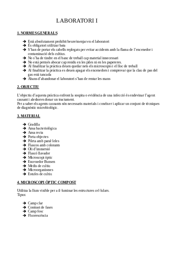 Miniatura del documento laboratori-I.pdf