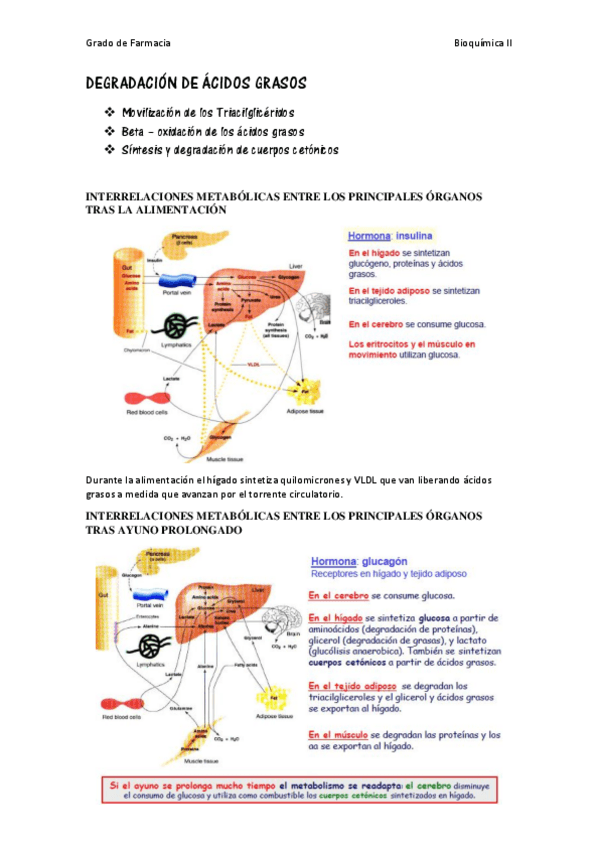 Miniatura del documento resumen degradación.pdf
