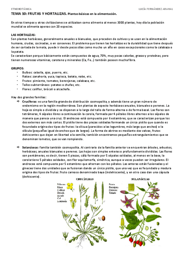 Miniatura del documento TEMA 10.pdf