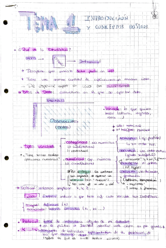 Miniatura del documento Estadistica-apuntes-teoria-temas-1-4.pdf