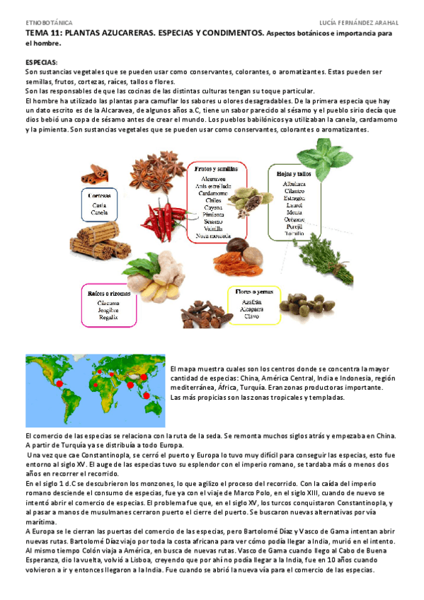 Miniatura del documento TEMA 11-2.pdf