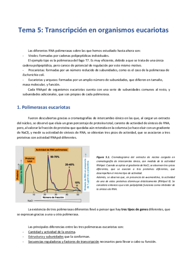 Miniatura del documento T5. Transcripción en eucariotas.pdf