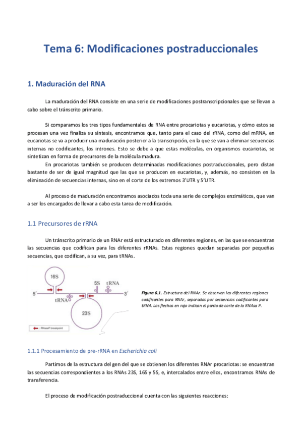 Miniatura del documento T6. Modificaciones postraduccionales .pdf