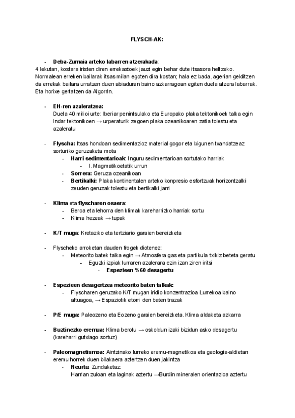 Miniatura del documento FLYSCH-AK-1.pdf