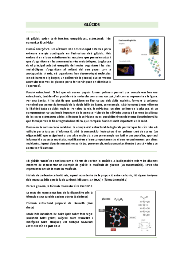 Miniatura del documento glucids.pdf