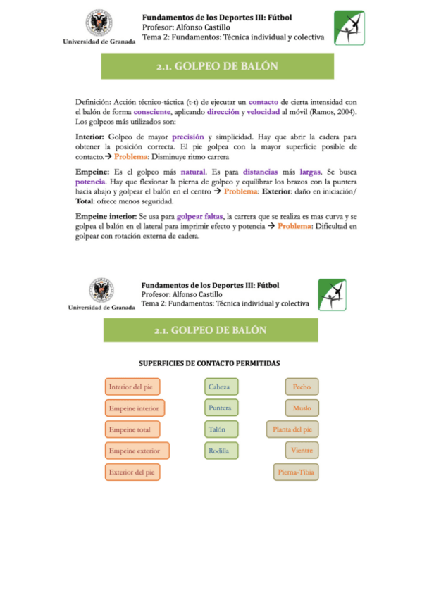 Miniatura del documento GOLPEO-DE-BALON.pdf