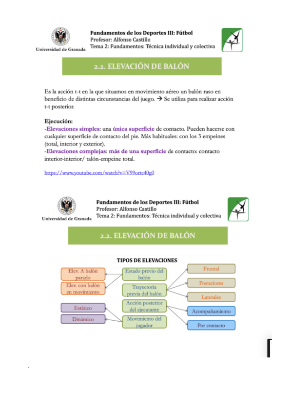 Miniatura del documento ELEVACION-DE-BALON.pdf