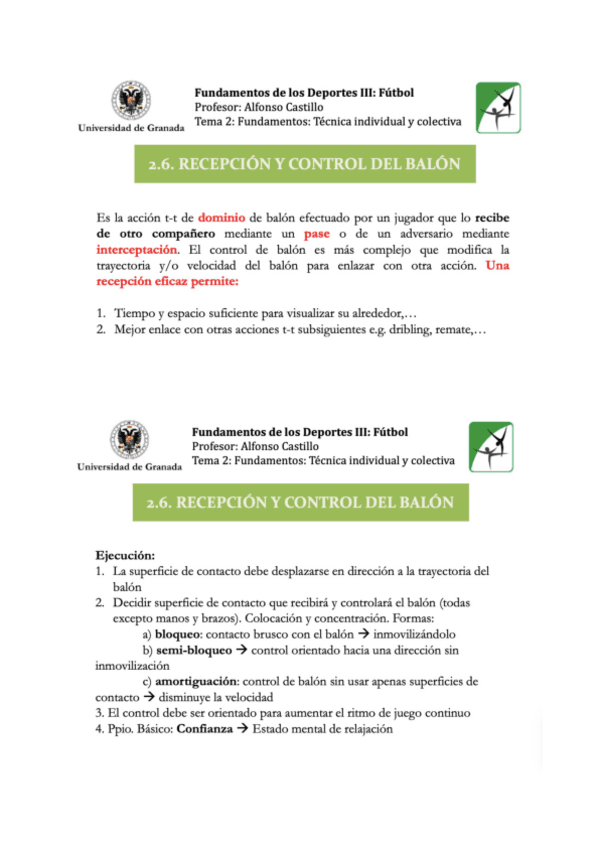 Miniatura del documento RECEPCION-Y-CONTROL-DE-BALON.pdf