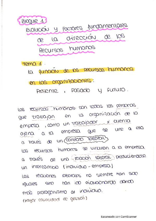 Miniatura del documento Recursos-Humanos.pdf