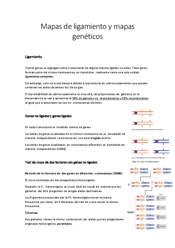 Miniatura del documento Tema-9.pdf