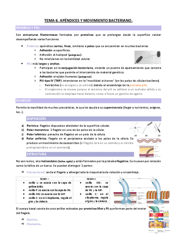 Miniatura del documento TEMA-6.pdf