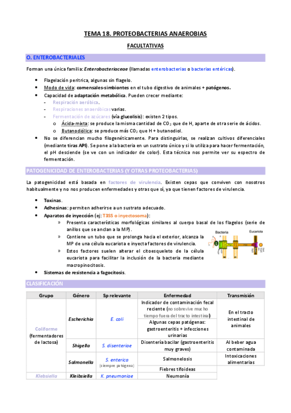 Miniatura del documento TEMA-18-copia.pdf