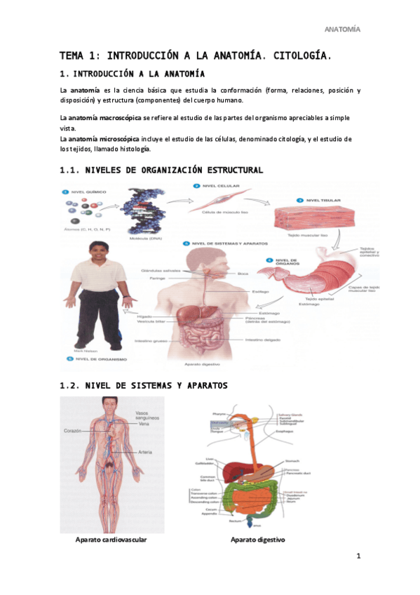 Miniatura del documento TEMA-1.pdf