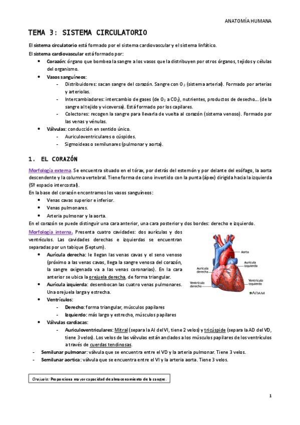 Miniatura del documento Tema-3.pdf