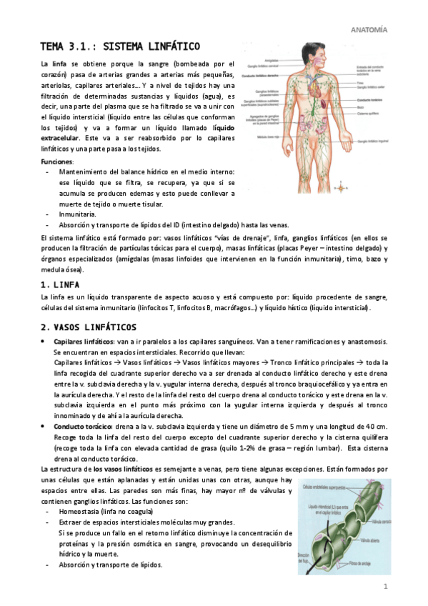 Miniatura del documento Tema-3.pdf