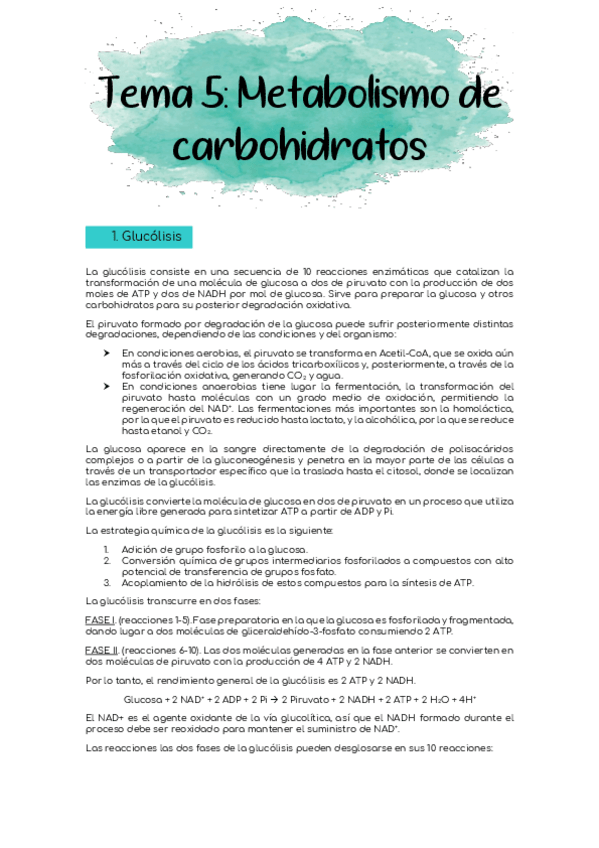 Miniatura del documento Tema-5.pdf