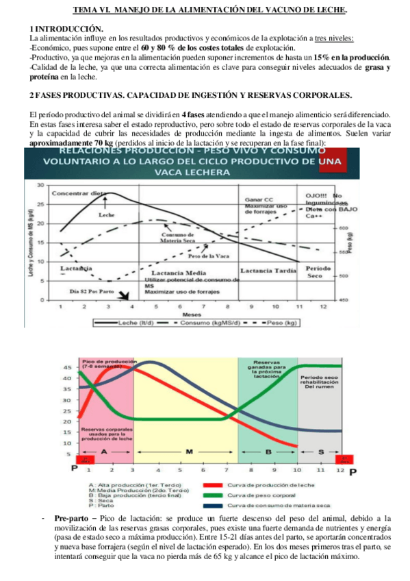 Miniatura del documento TEMA-6.pdf
