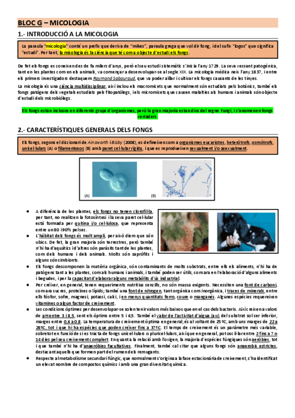 Miniatura del documento Bloque-G.pdf