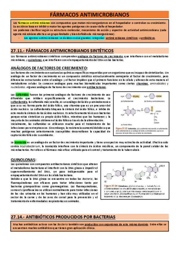 Miniatura del documento 27.pdf