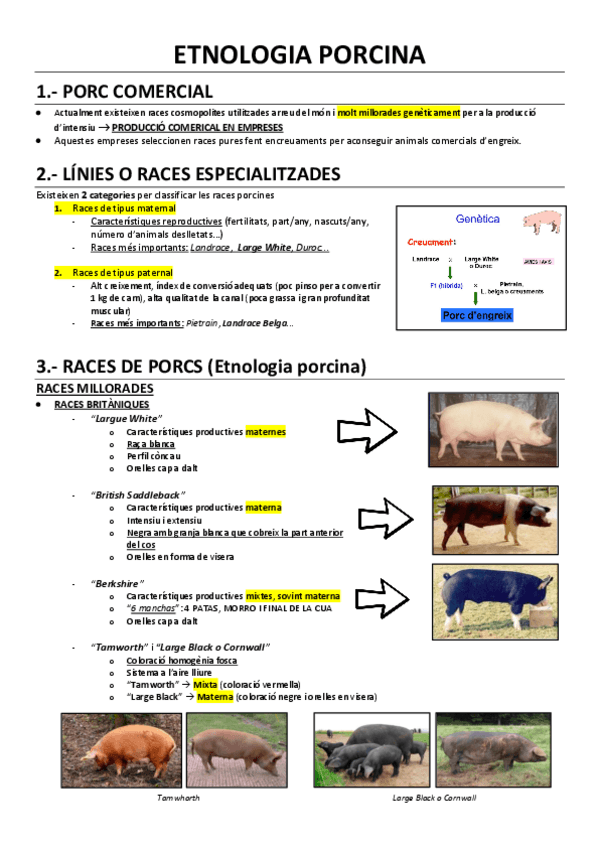 Miniatura del documento Etnologia-porcina.pdf