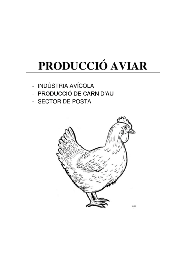 Miniatura del documento PRODUCCIO-AVIAR.pdf