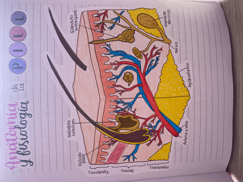 Miniatura del documento 5B27ED54-2573-482B-8A94-914AF0E72C32.jpg