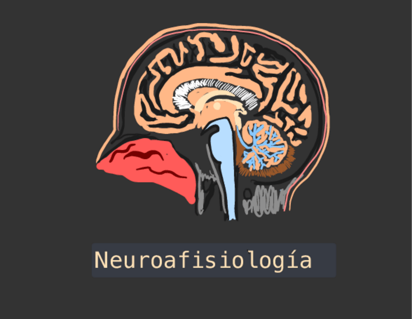 Miniatura del documento Neurofisio.pdf