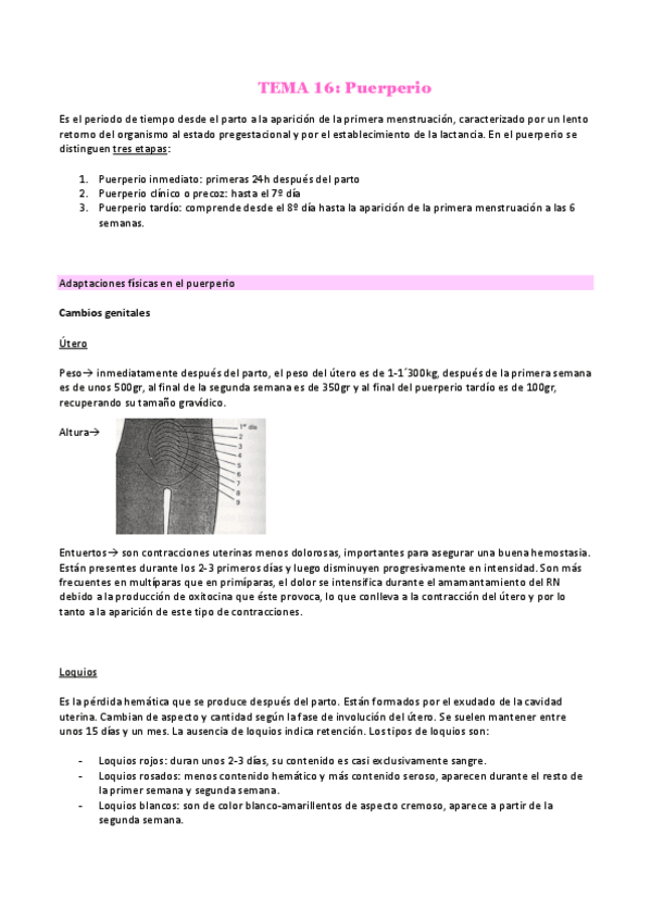 Miniatura del documento 16-PUERPERIO.pdf