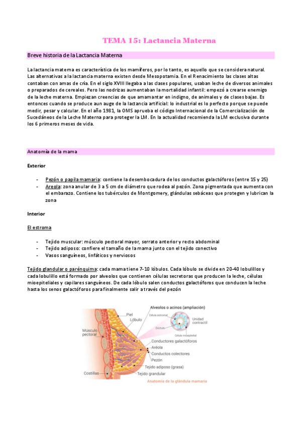 Miniatura del documento 15-LACTANCIA-MATERNA.pdf