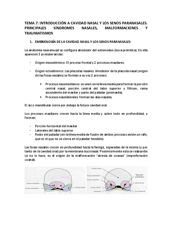Miniatura del documento TEMA-7-OTORRINO.pdf