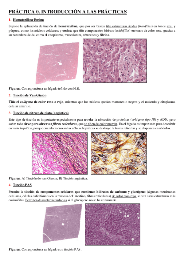 Miniatura del documento APUNTES-PRACTICAS-0-5.pdf