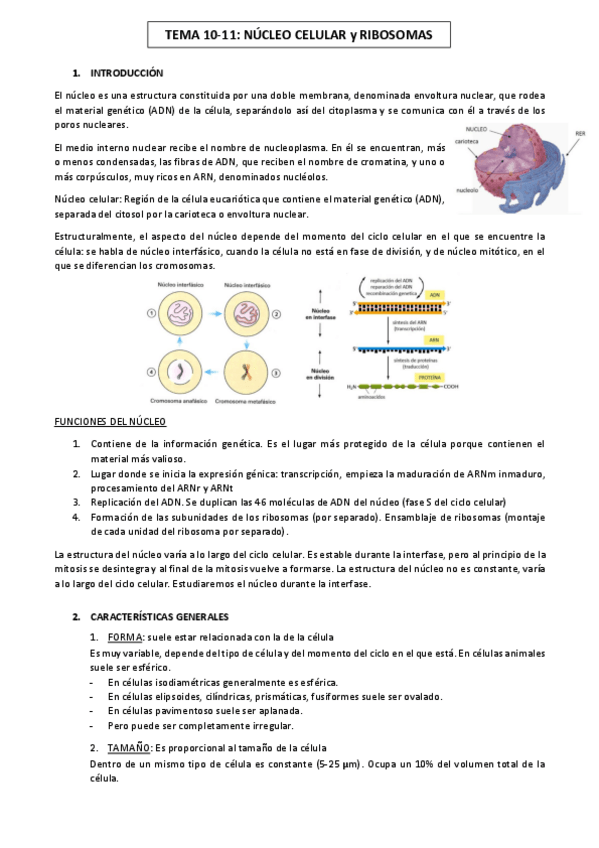 Miniatura del documento Biologia-Temas-10-19.pdf